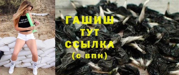 хмурый Белокуриха